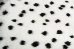 1 pair of Fuzzy Faux fur Headrest covers in a choice of print's dalmatian